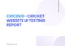 test your saas or mobile app before release and deliver a professional QA report